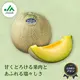 ����ǥ������ ���ʡ�����3L/2��