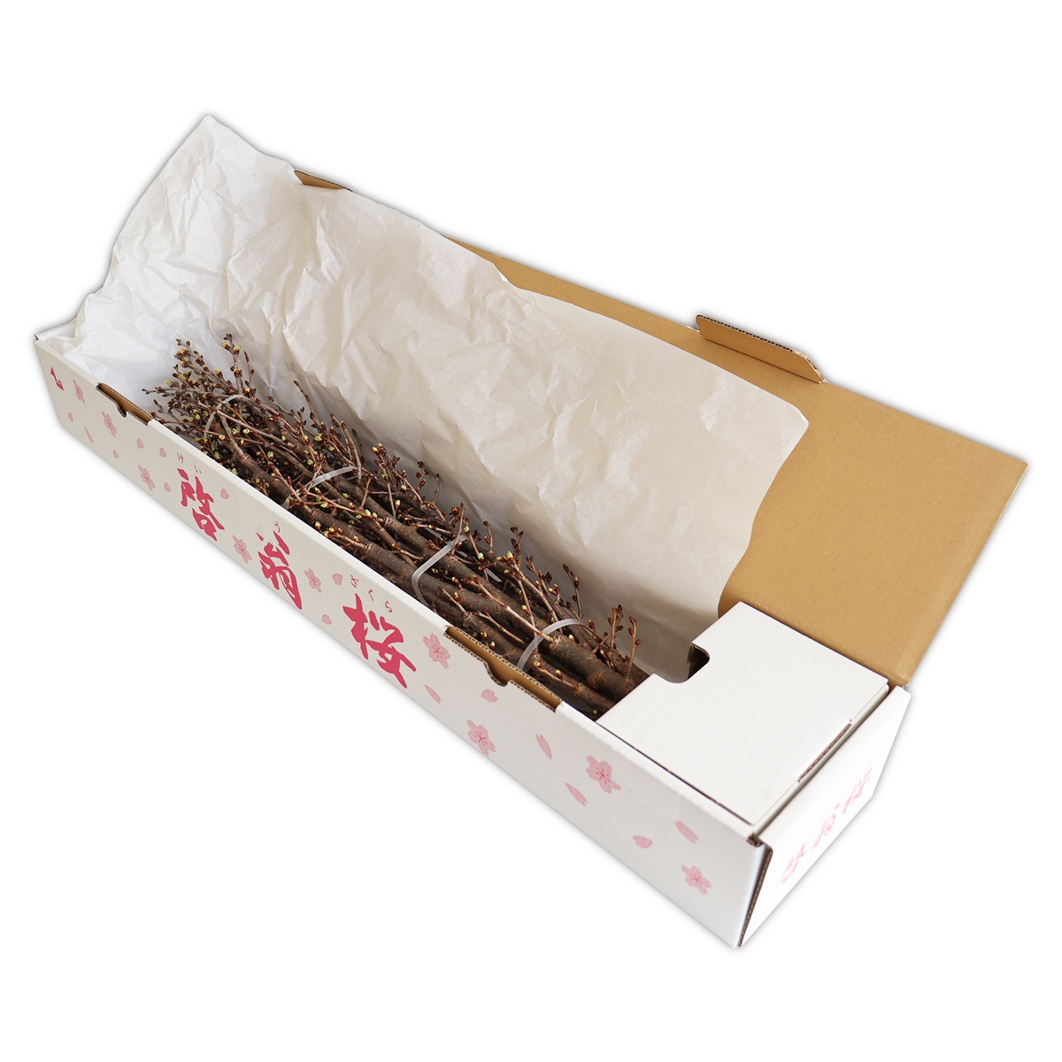 ������(80�����8��)