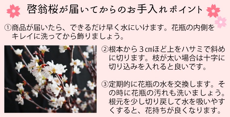 ������(80�����8��)