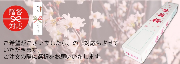 ������(80�����8��)