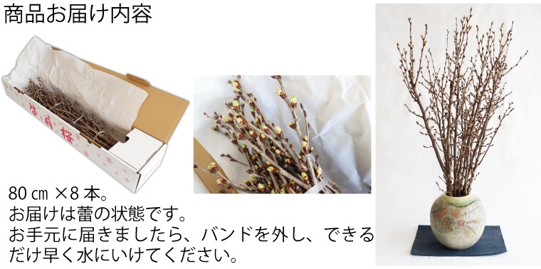 ������(80�����8��)