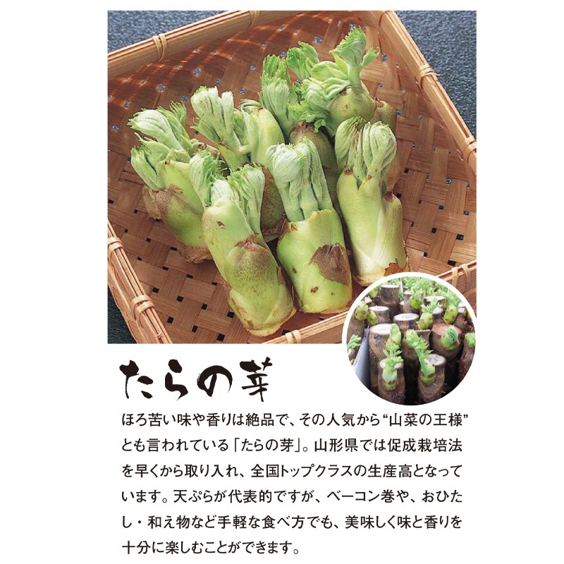 ��ޤ������ڥ��åȡ��Ҥ�­�ᤤ�դ�̣�С�