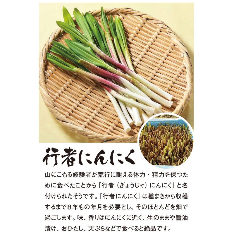 ��ޤ������ڥ��åȡ��Ҥ�­�ᤤ�դ�̣�С�