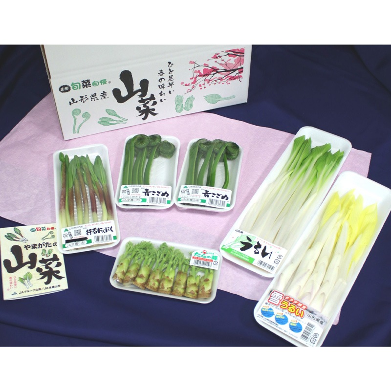 ��ޤ������ڥ��åȡ��Ҥ�­�ᤤ�դ�̣�С�