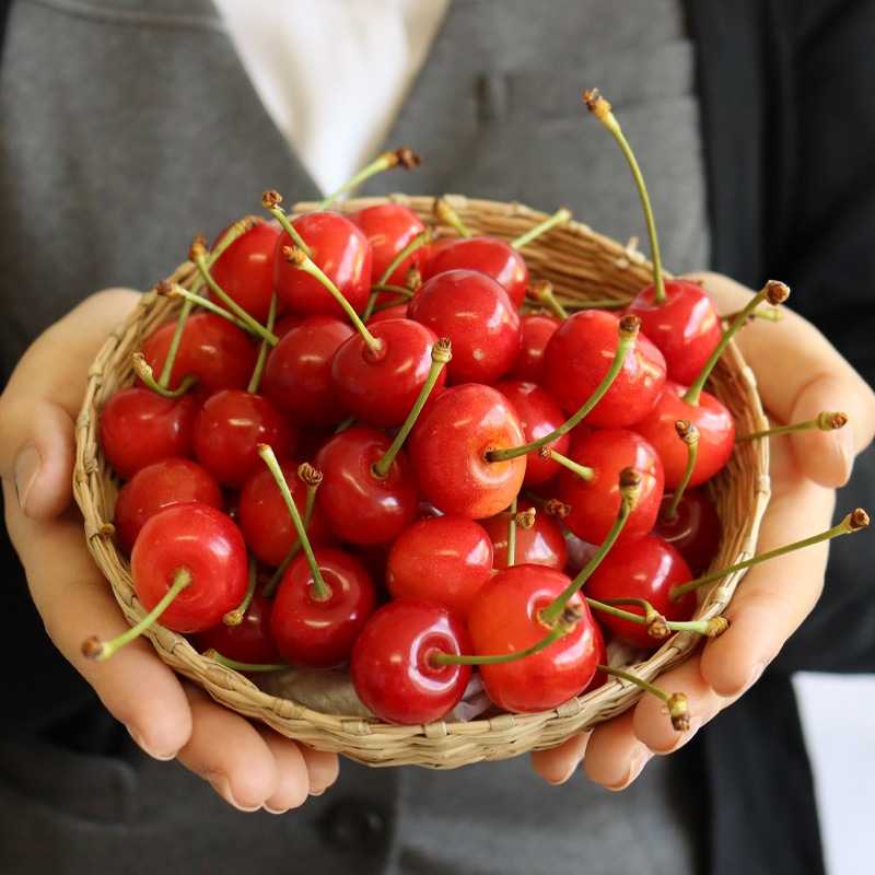�������ܺ�ƣ��(400g�Х�ͤ�)����6���ܺ����ȯ��ͽ���