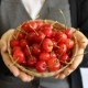 �������ܺ�ƣ��(400g�Х�ͤ�)����6���ܺ����ȯ��ͽ���