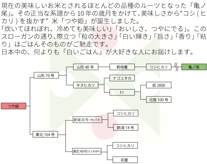 �����£�ǯ���ۻ��������Ĥ�ɱ��5kg