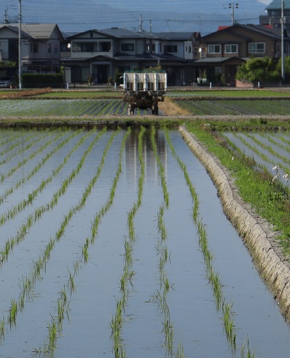 �����£�ǯ���ۻ��������Ĥ�ɱ��5kg