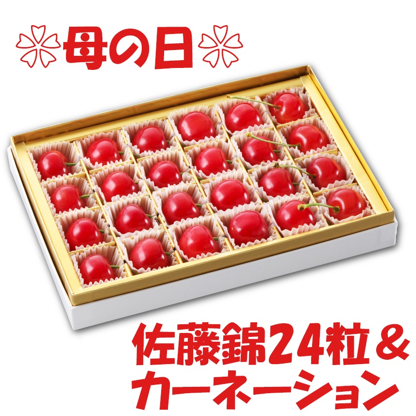 ��ͽ���������������ۻ������������������ܡ���ƣ��24γ�������͡������