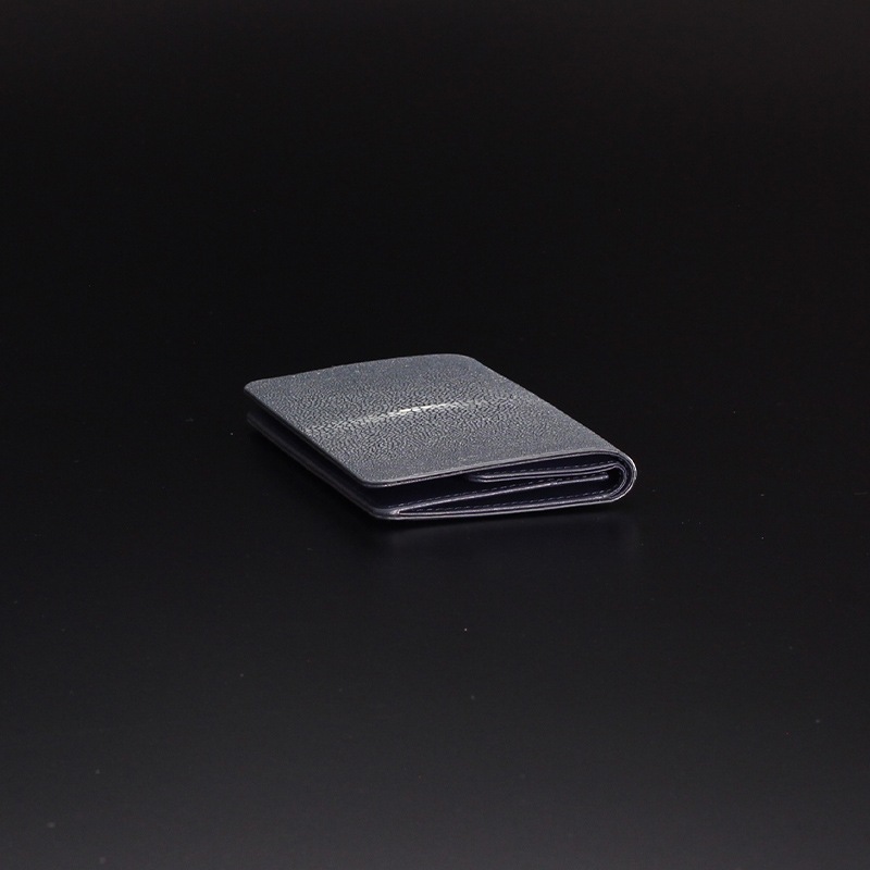 ȥꥨʥAtelier AKNAS롼   WP014 LAPIS