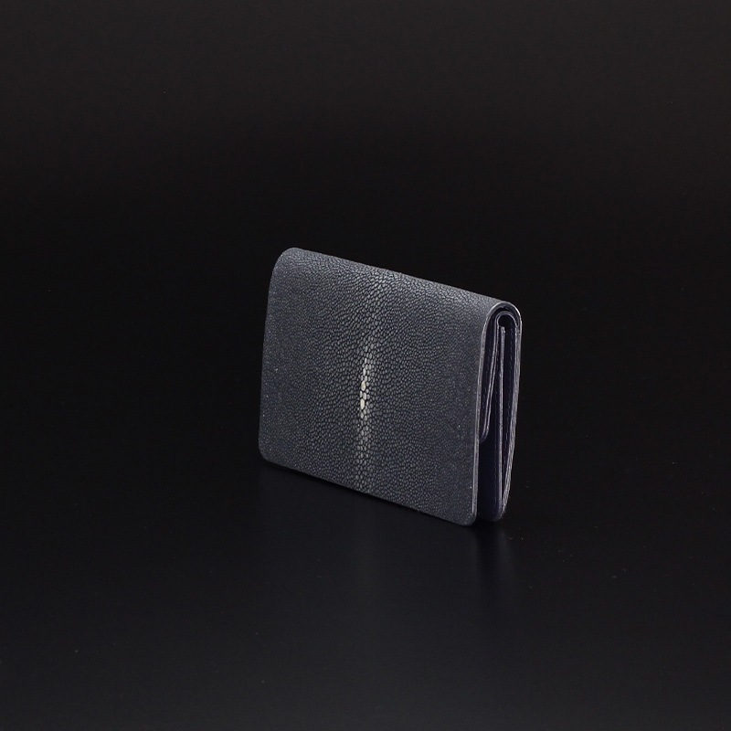 ȥꥨʥAtelier AKNAS롼   WP014 LAPIS