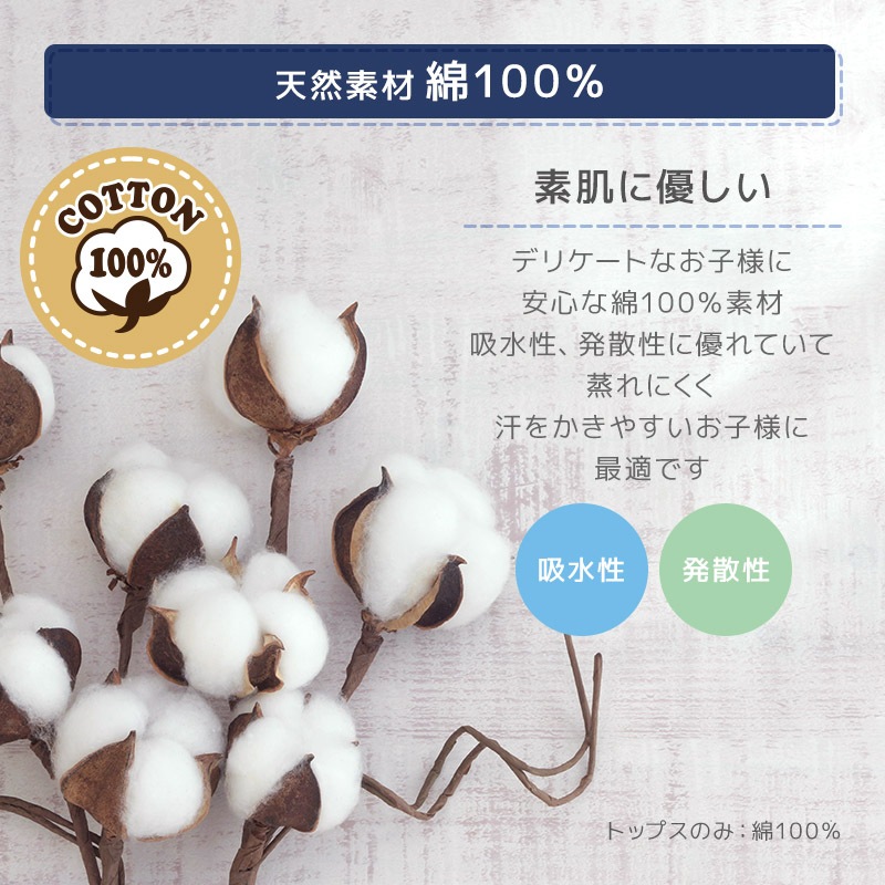 キッズ パジャマ セットアップ 上下セット 2点セット 恐竜 トリケラトプス 梨地天竺 半袖 Tシャツ パイル 腹巻付 7分丈パンツ ( 80-130cm ) 男の子 夏 涼感 ダイナソー 部屋着 ルームウェア 80cm 90cm 95cm 100cm 110cm 120cm 130cm 