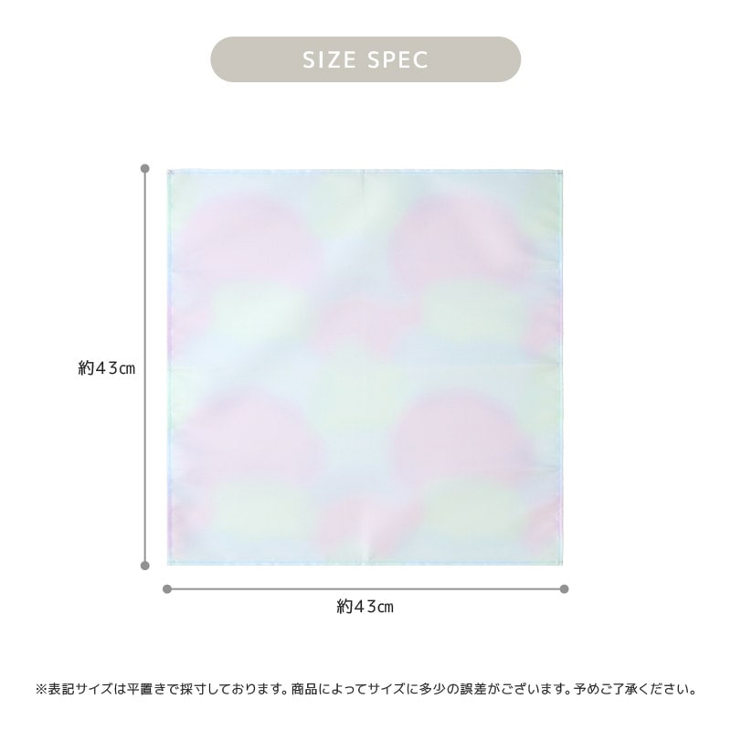 入園入学２点セット 入園入学セット 巾着 給食袋 お弁当袋 巾着袋 コップ袋 ランチクロス 男の子 女の子 入園入学グッズ 入園グッズ ランチョンマット 給食ナフキン 給食ふきん 軽量 お弁当用 小学校 新学期 キッズ 通園 通学 入学祝い ギフト プレゼント