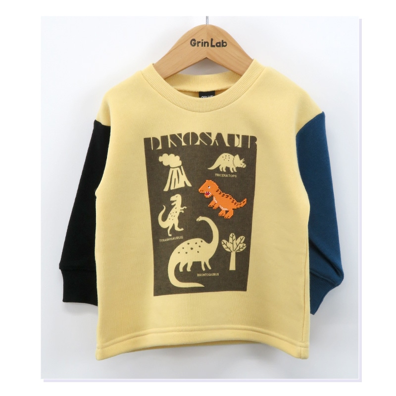 キッズ トレーナー 裏起毛 男の子 恐竜 子供服 長袖 トップス ( 80-130cm )【 GrinLab グリンラボ 】 ボーイズ ダイナソー 冬服 スウェット ベビー服 80 90 95 100 110 120 130 