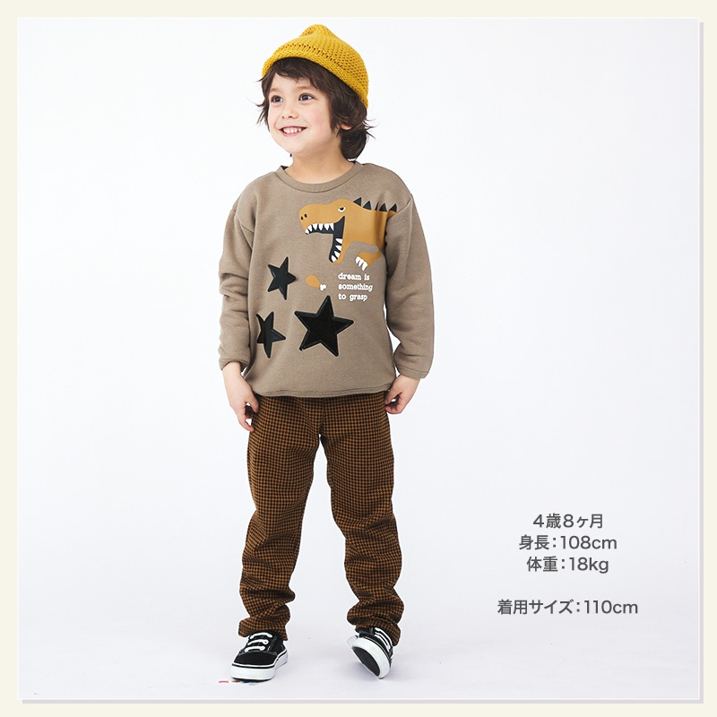 キッズ トレーナー 裏起毛 男の子 恐竜 子供服 長袖 トップス ( 80-130cm )【 GrinLab グリンラボ 】 ボーイズ ダイナソー 冬服 スウェット ベビー服 80 90 95 100 110 120 130 