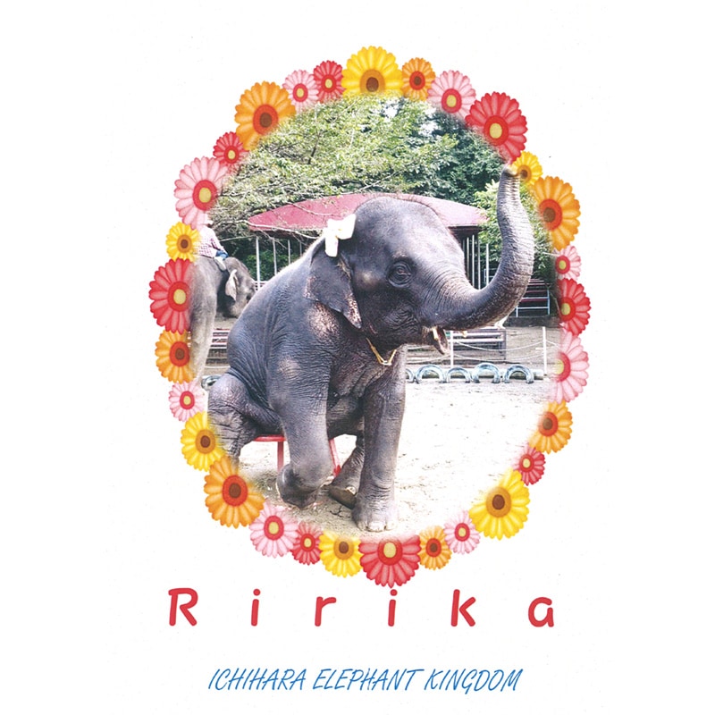 �����������֤���פβ֥ե졼�ࡡ�ݥ��ȥ�����