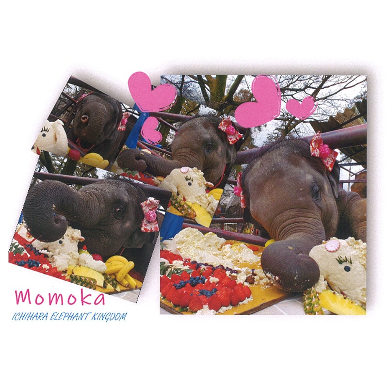 �����������֤��ơפ����������ݥ��ȥ�����