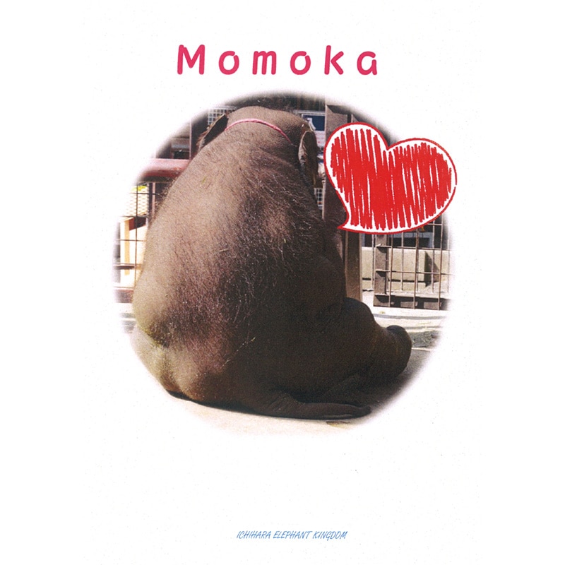 �����������֤��ơפθ���ѡ��ݥ��ȥ�����