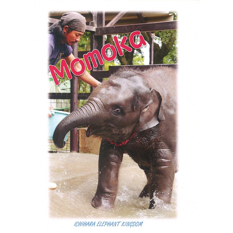 �����������֤��ơפο�ͷ��1���ݥ��ȥ�����