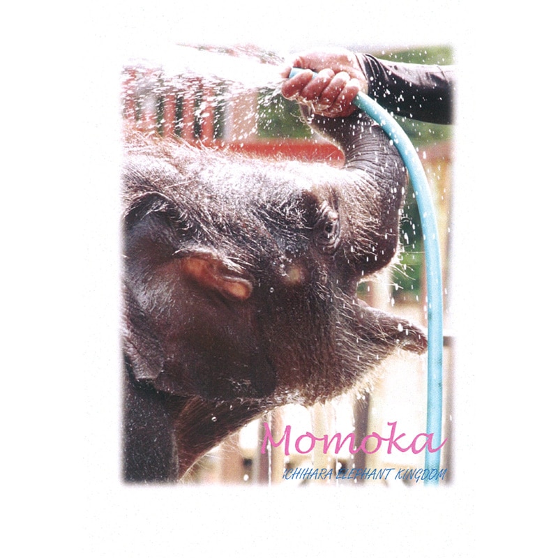 �����������֤��ơפο�ͷ��2���ݥ��ȥ�����