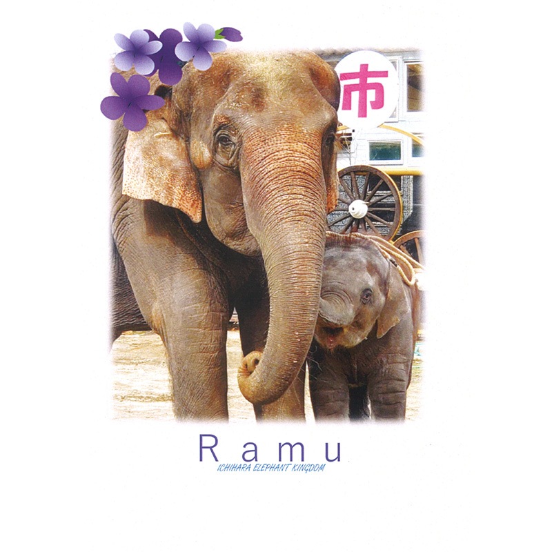 �����������֤�̴�פȥޥޤȰ��ݥ��ȥ�����