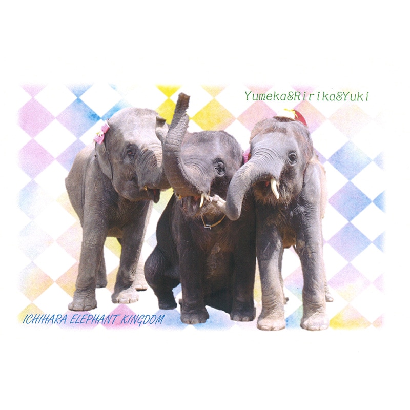 �����������֤��֡ס֤���סַ���ס��ݥ��ȥ�����