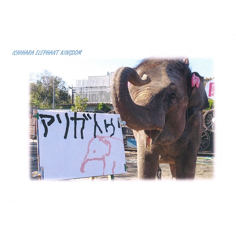 �����������֤��֡פ��������֤��꤬�Ȥ��ס��ݥ��ȥ�����