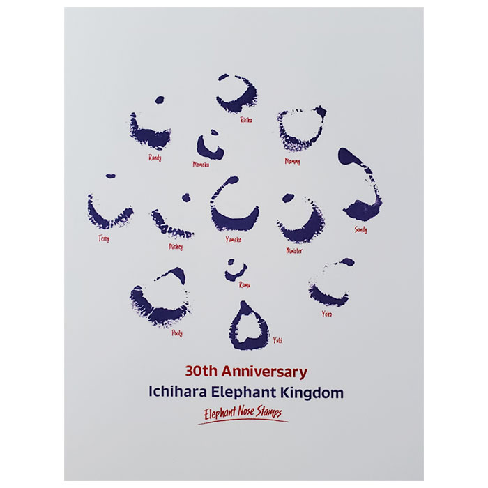 30��ǯ��ǰ��ɡ�桡�ݥ��ȥ�����