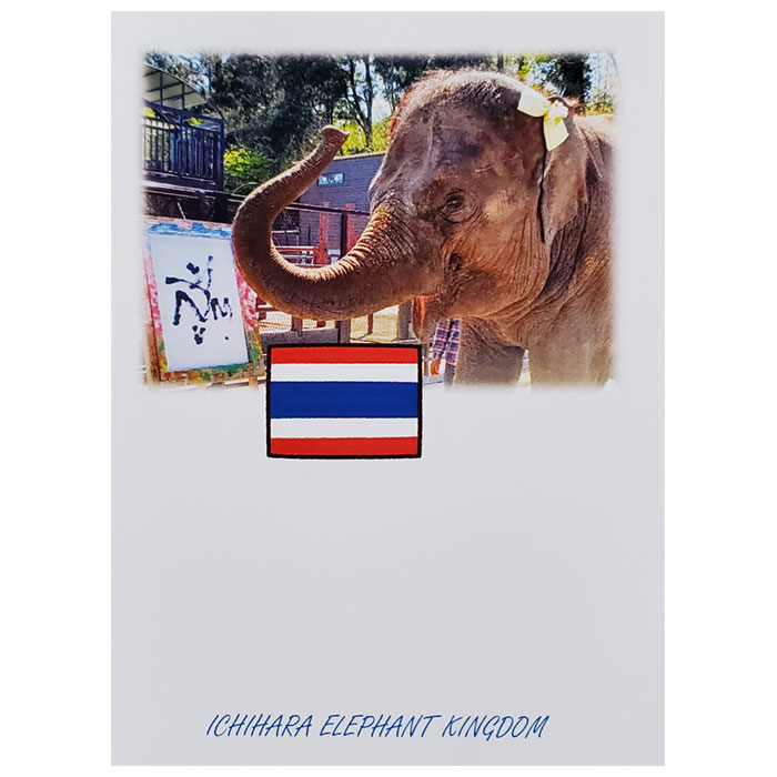 �����줬��Ф졡�ݥ��ȥ�����