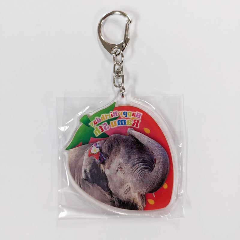 ��̴��5�е�ǰ��������륭���ۥ����