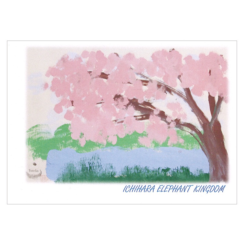 ���֤��������ֹ���Фκ���2019���ݥ��ȥ�����