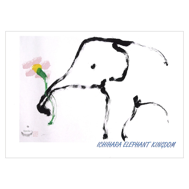 ���֤��������֤�������ȥ����⥹��2019��ݥ��ȥ�����