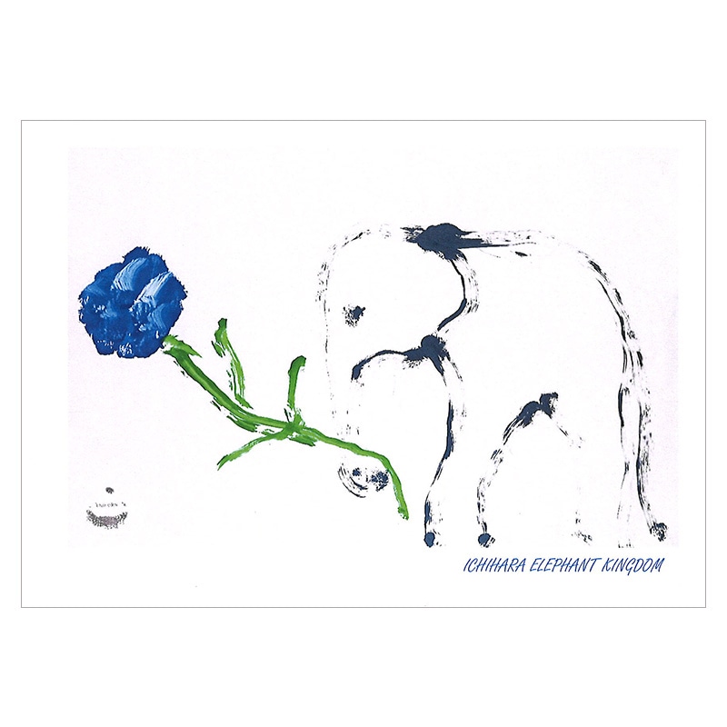 ���֤��������֤��������£��ʪ���ĤΥ����͡�������2021��ݥ��ȥ�����