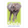 ���եꥫ�����֥���ǥ��פΡ�Sandy�ס��ݥ��ȥ�����