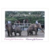 οƻҡPooly&Momoka Mamy&Ramסݥȥ