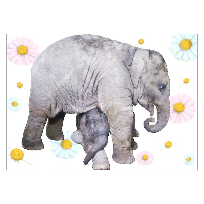 ��A baby Asian elephant Ririka&Yuki�ס��ݥ��ȥ�����