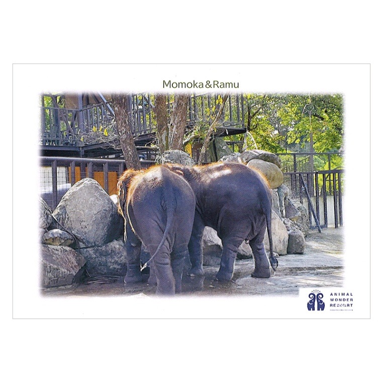 �����������֤��ơפȡ֤�̴�פΡ֤�����ס��ݥ��ȥ�����