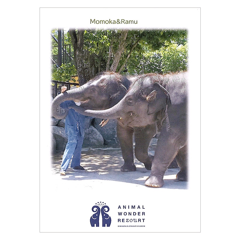 �����������֤��ơפȡ֤�̴�פΡ֤ʤˤʤˡ��ס��ݥ��ȥ�����