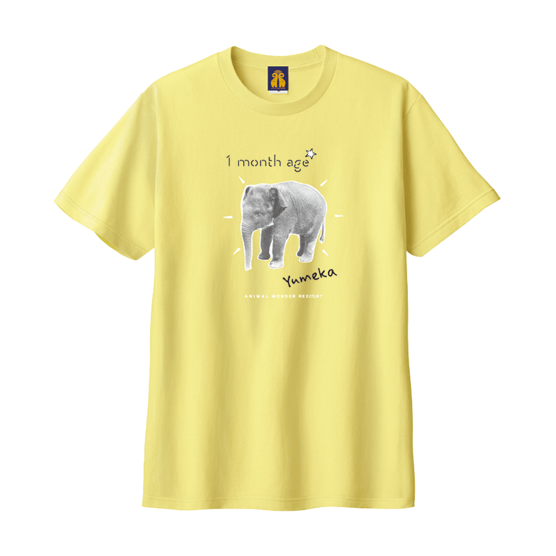 ¤æ¤á²Ö17ºÐ¤ªÃÂÀ¸ÆüµÇ°T¥·¥ã¥Ä¡¡¥¤¥¨¥í¡¼