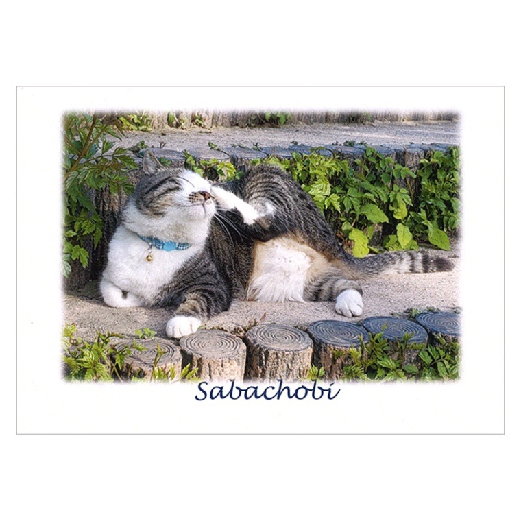 ���Х���ӤΡ֤��������ס��ݥ��ȥ�����