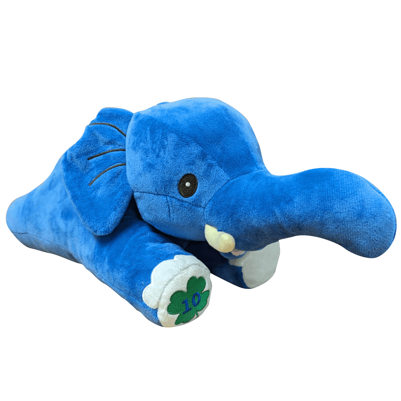 10�е�ǰ��������̤������