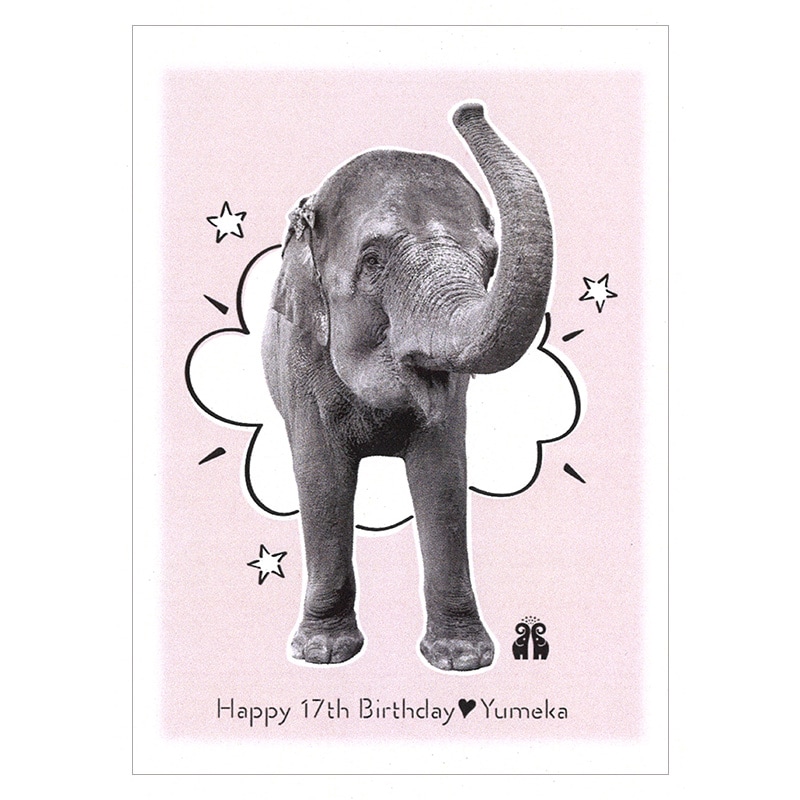 ����Ρ�17�е�ǰ�ס��ݥ��ȥ�����