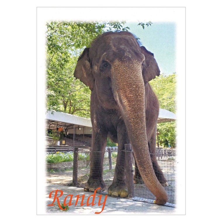 �����������֥��ǥ��פΥݥ��ȥ�����2