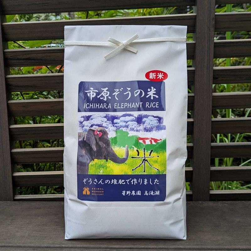 �ڤդ������͡ۻԸ��������ơ�3kg��2026ǯ����