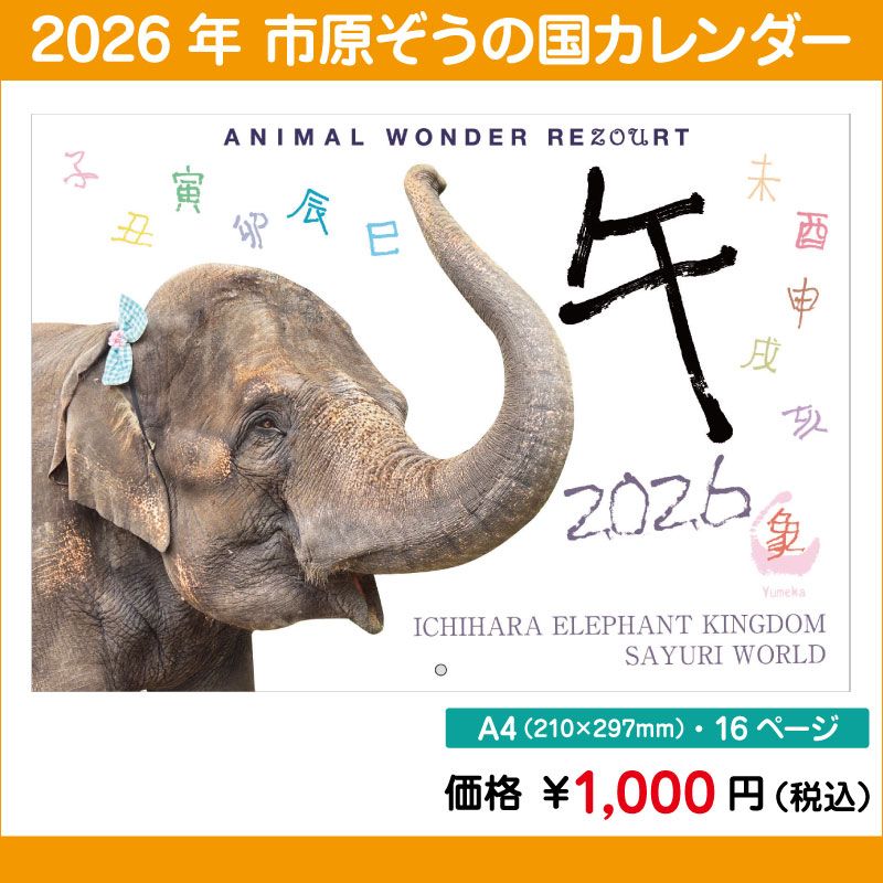 2026ǯ��������