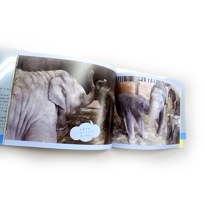 ����ȷ���������ͤ����£��ʪ��