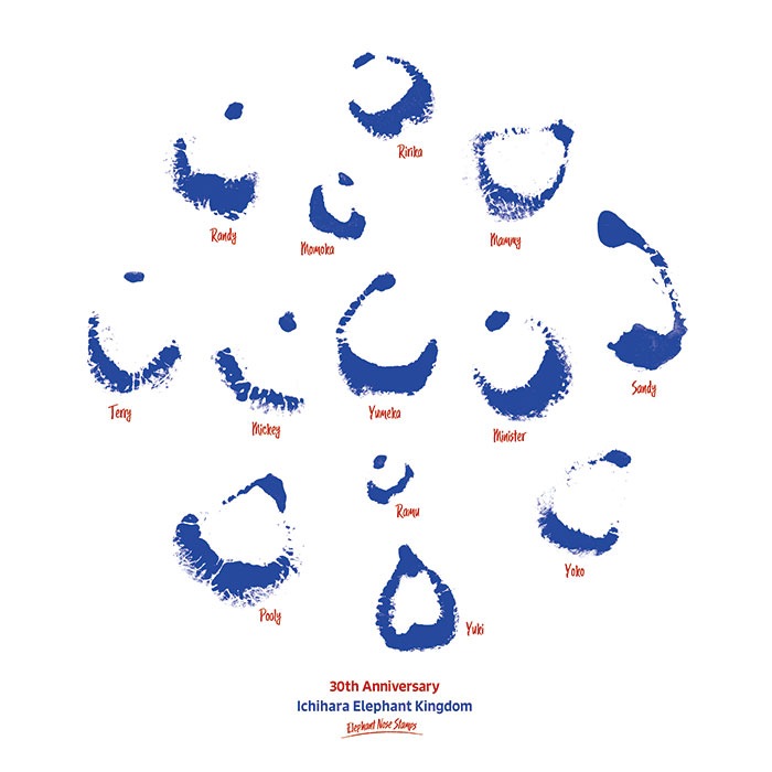 ����ٱ��