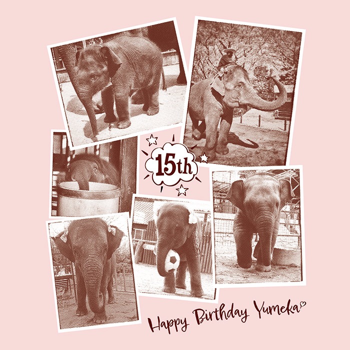 ڥʡۤ֡15thԥġʥ٥ӡԥ󥯡
