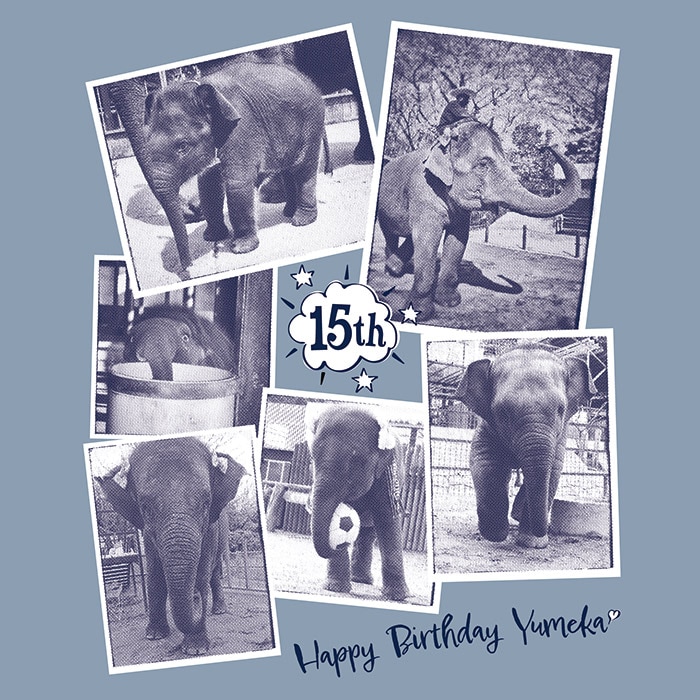 �ڥ������ʡۤ��֡�15th���ԥ���ġʥ����åɥ֥롼��