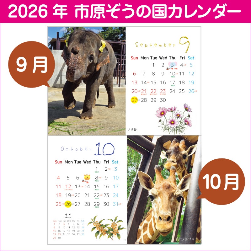 �ڿ��̸����2026ǯ���ꥸ�ʥ륫��������